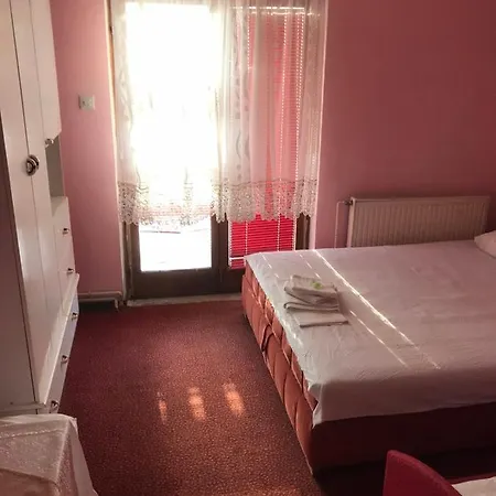 Motel Palata *
